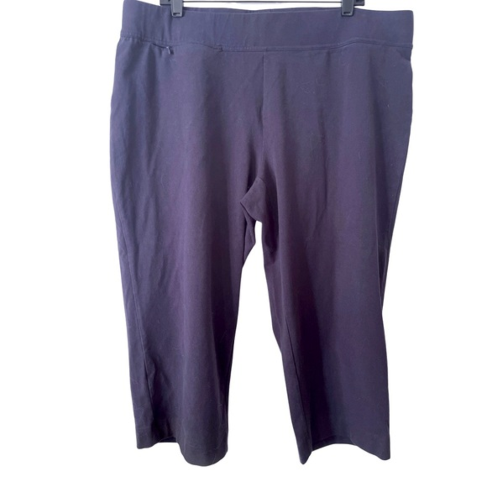 Green Tea Cropped Athletic‎ Pants in Navy Blue S